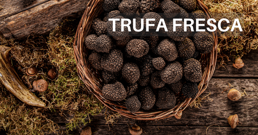 Trufa negra de Teruel